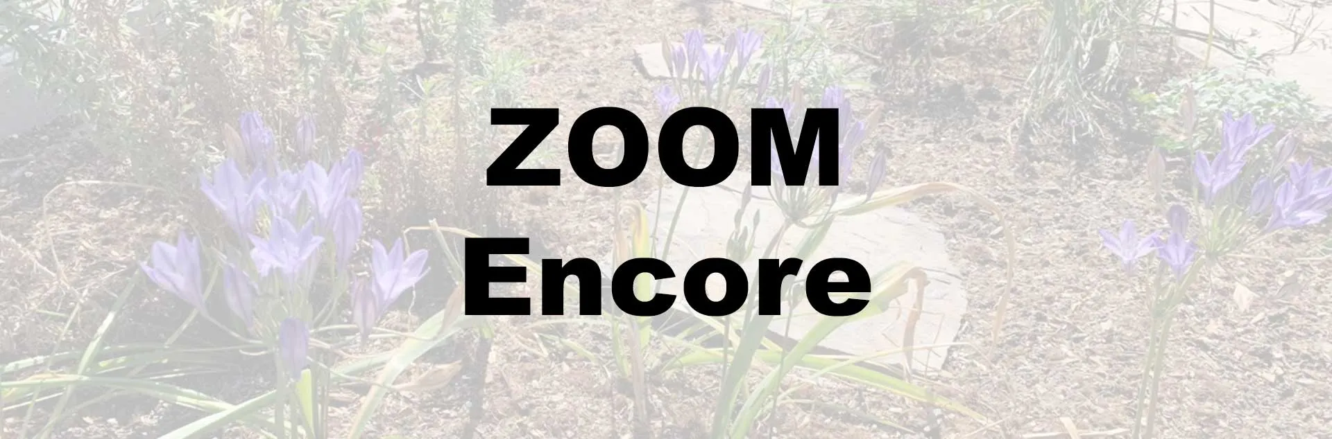 California Natives – Zoom Encore