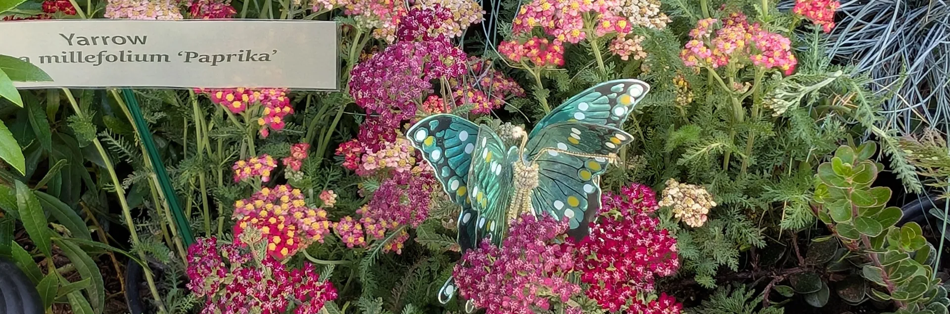 UC Master Gardeners Sonoma County Fair Exhibit 2025