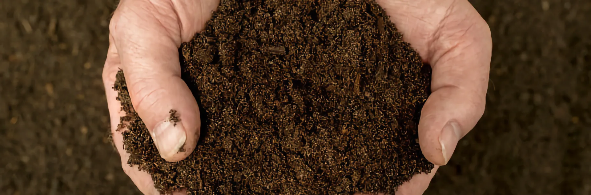 Dark, rich, compost being held in someone's hands