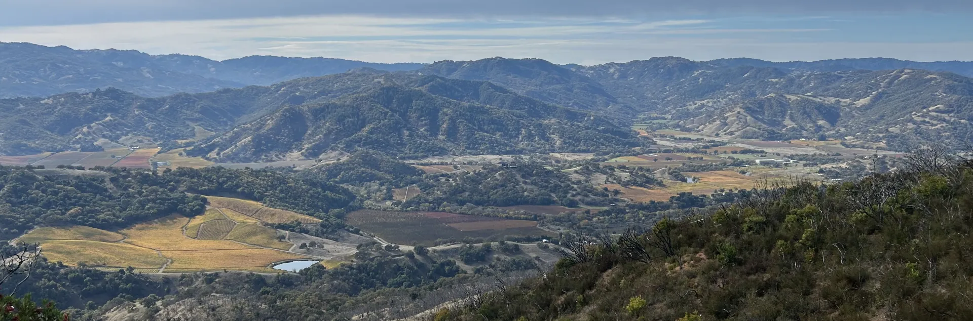 land use and oaks