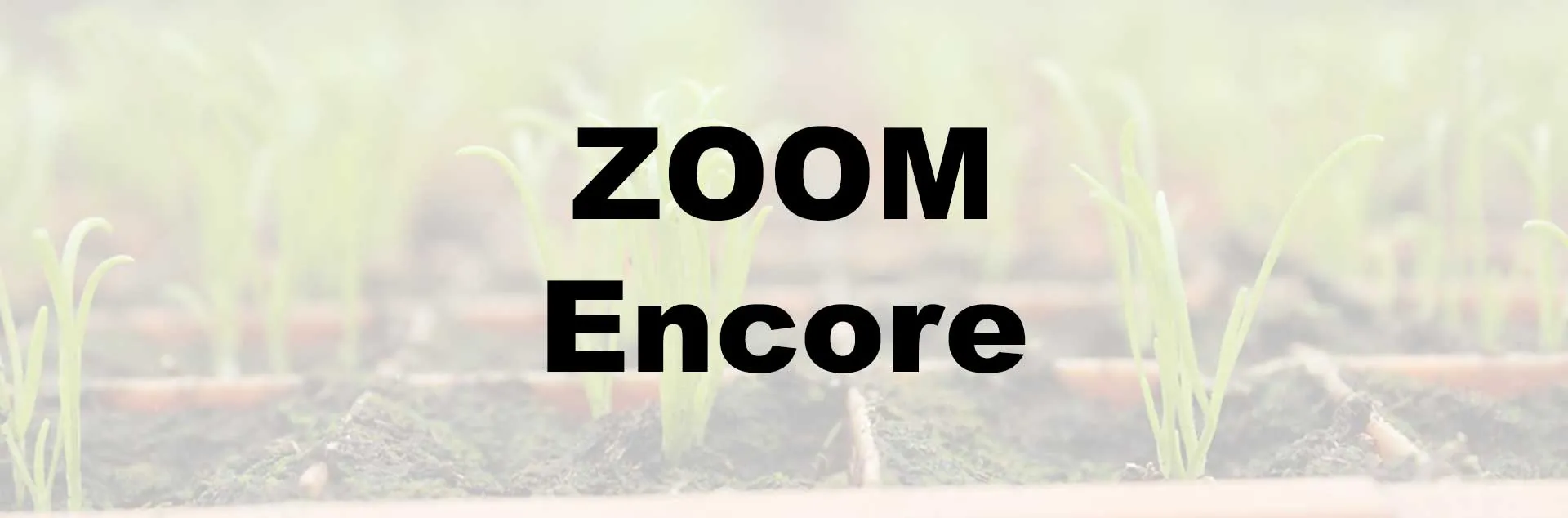 Bargain Gardening - Zoom Encore