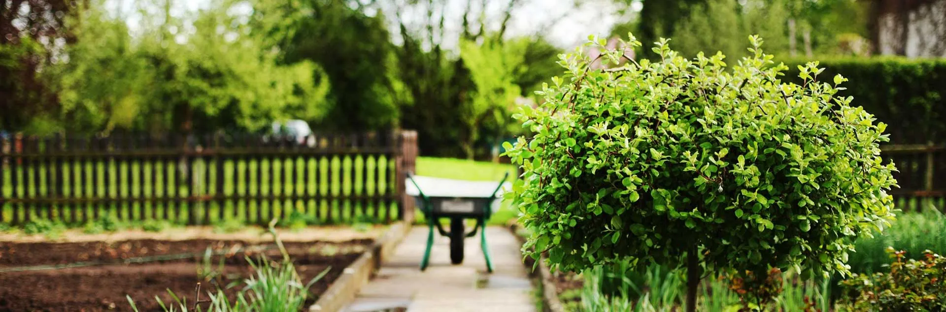 Gardening in Small Spaces - Yorba Linda