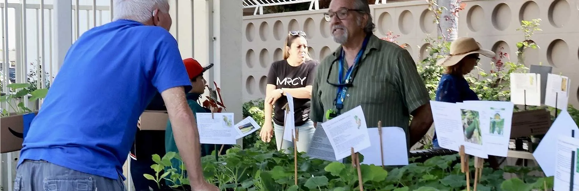 Pop-up Plant Giveaway - Fullerton