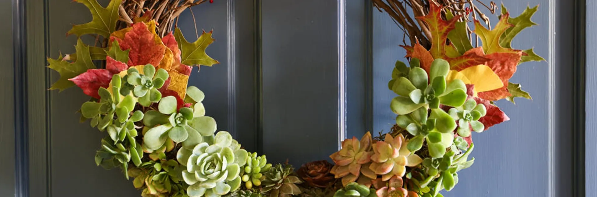 Learn how to make a succulent wreath for winter