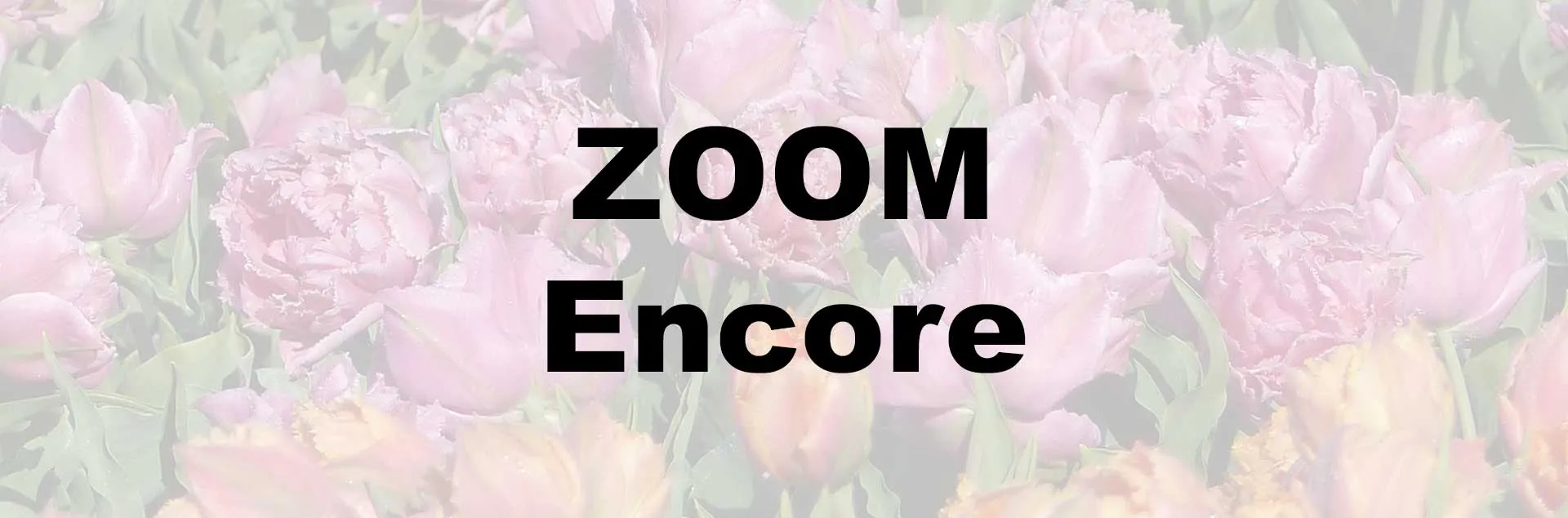 Beautiful Bulbs Made Easy - Mission Viejo