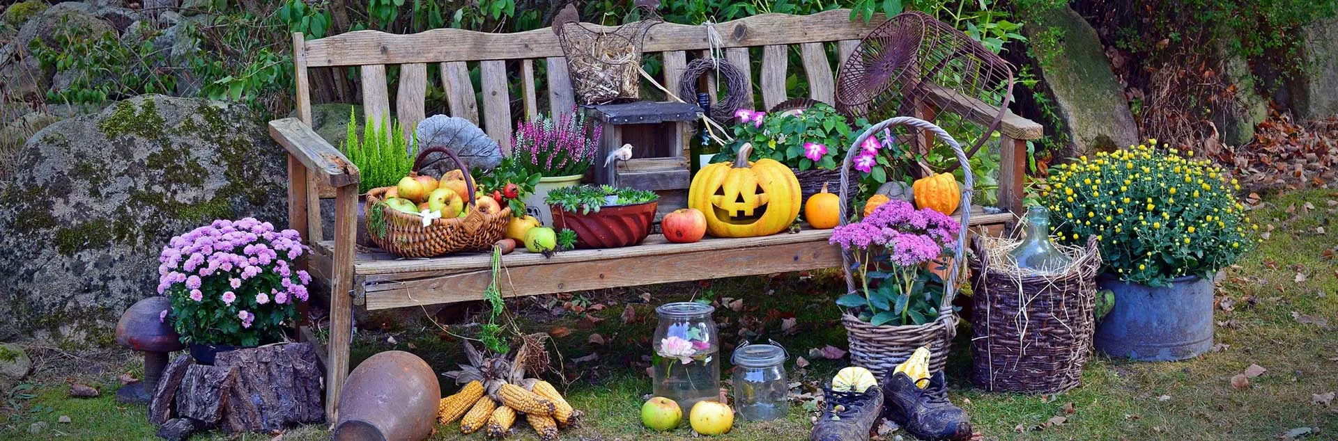 Busy Gardener Month to Month