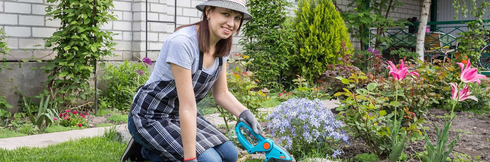 Busy Gardener – Month to Month - Laguna Beach