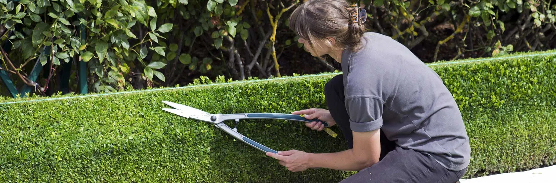 Busy Gardener – Month to Month - Westminister