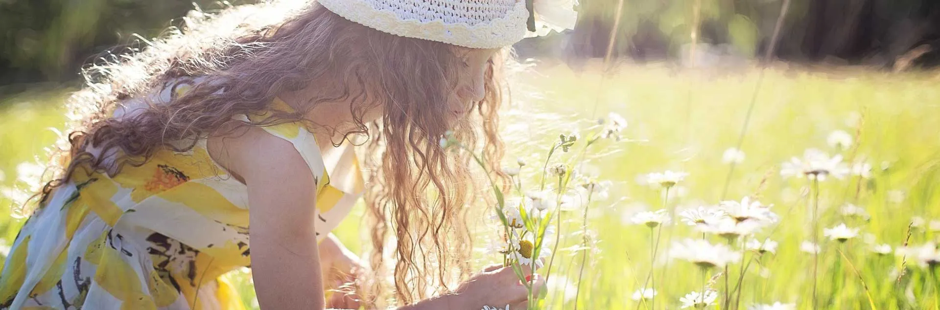 Monarch Nature Trail - Huntington Beach