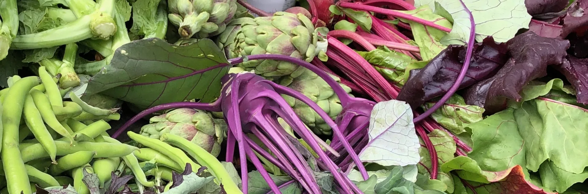 A vibrant assortment of freshly harvested cool-season vegetables, including purple kohlrabi, green artichokes, beets with bright red stems, fava beans, and various leafy greens.