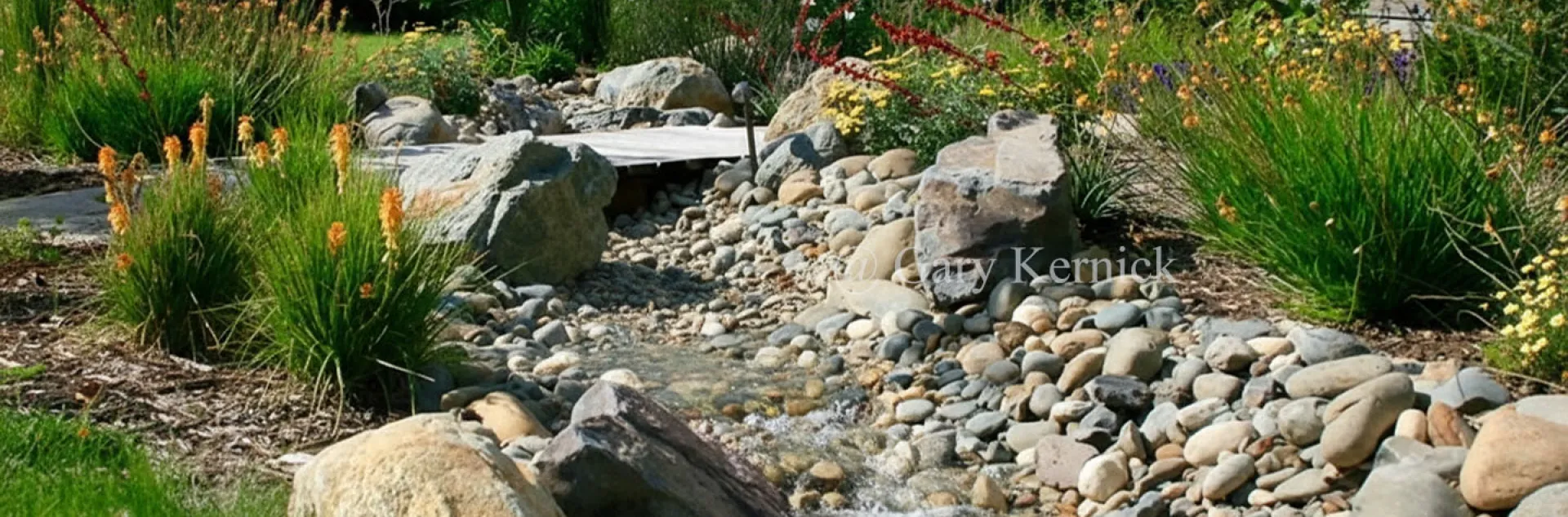 Rainwater Runoff in a constructed stream, photo courtesy Gary Kernick
