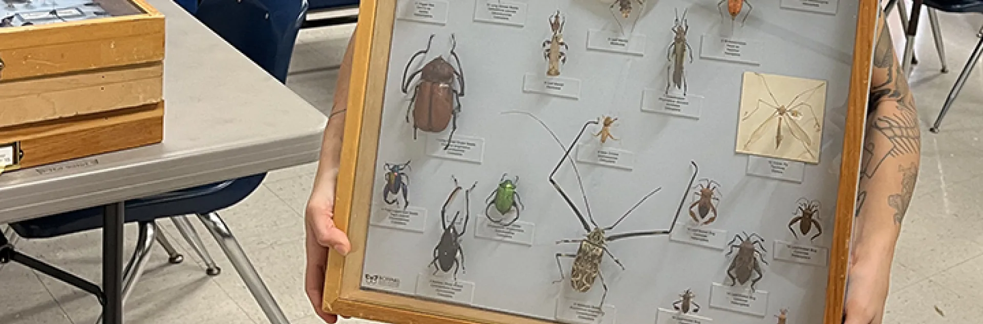 Mia holds glass case displaying bugs