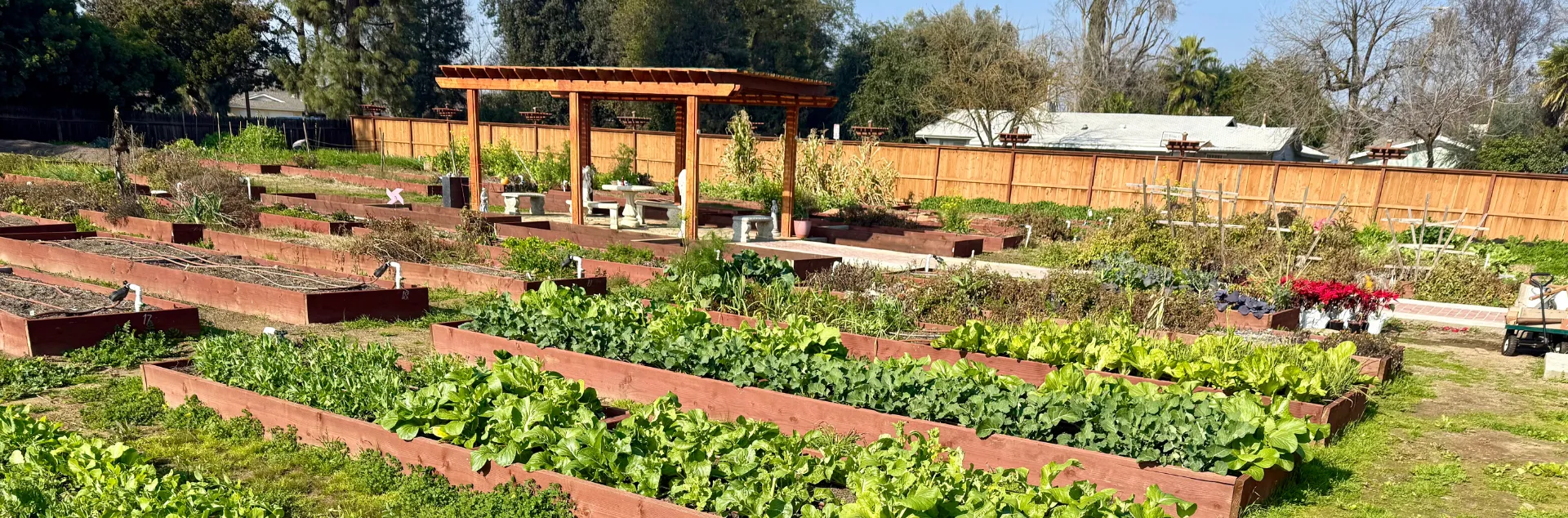 Community garden