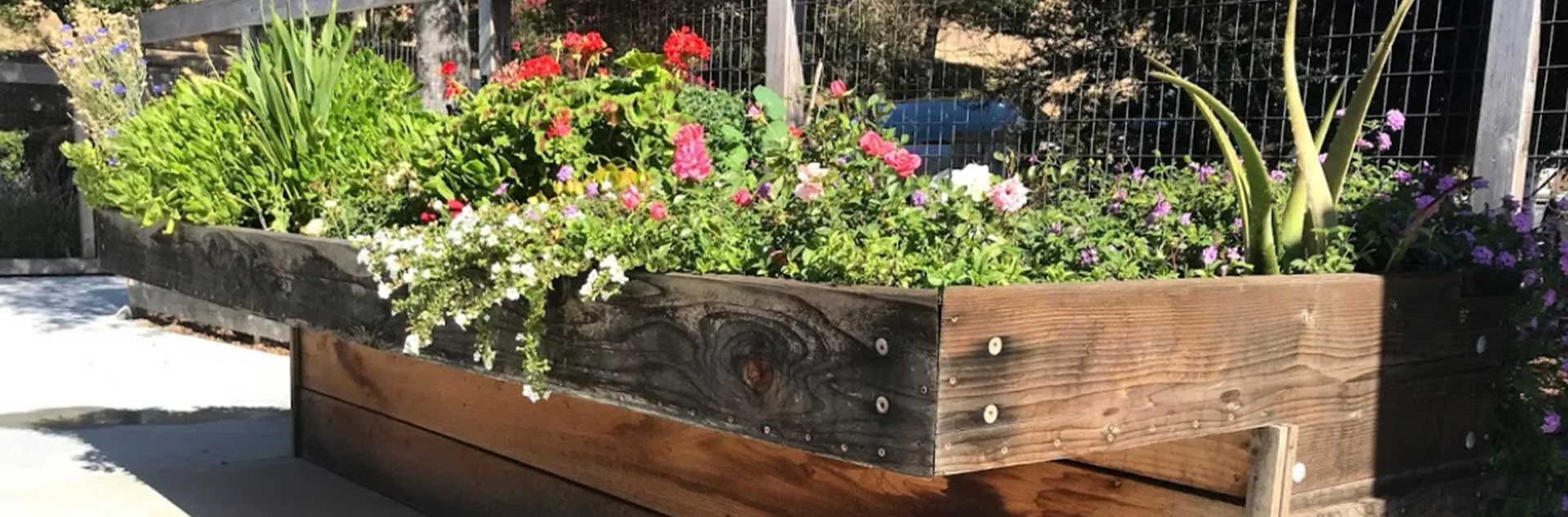 Busy Gardener Month-to-Month - Westminster