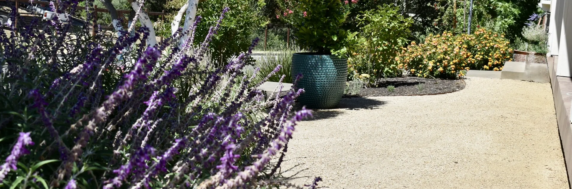 Zone Zero garden landscape