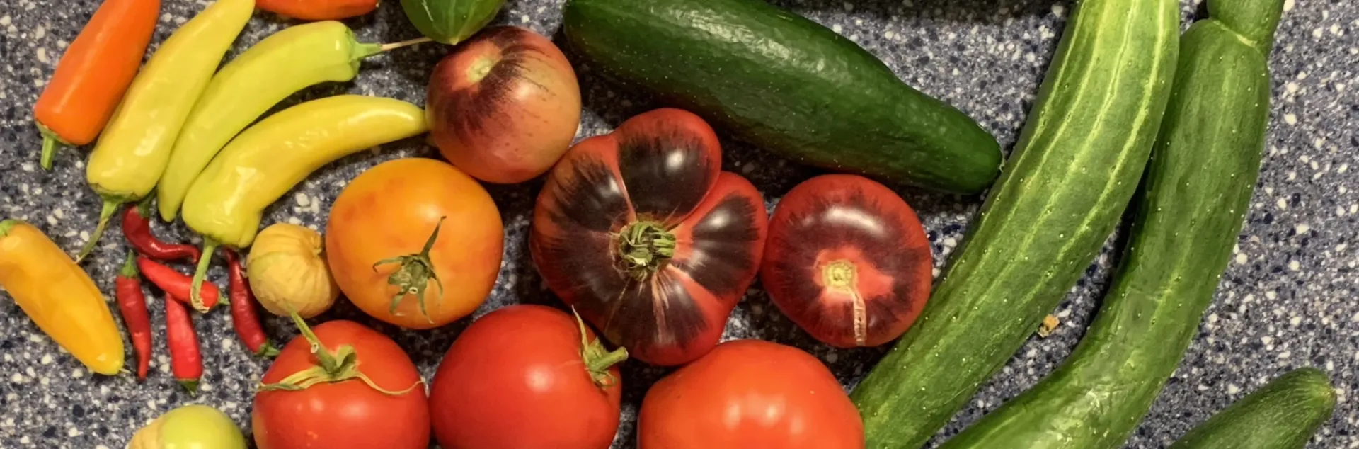 summer vegetables from seed, Laura W