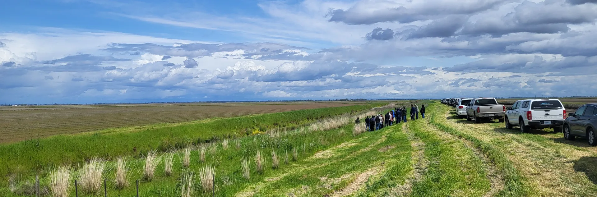 hedgerow site 2025 demonstration