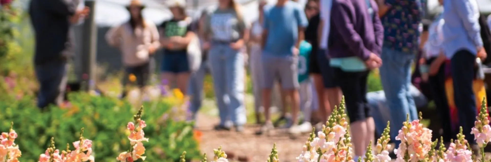 Save the Date announcement for the California Agritourism Summit, September 23-25, 2026, in San Luis Obispo County. Image shows a group of people standing in a vibrant flower field, with mountains in the background. Hosted by the UC Sustainable Agriculture Research & Education Program.