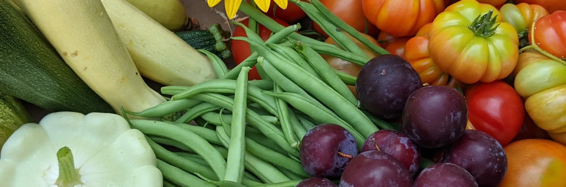 Produce harvest