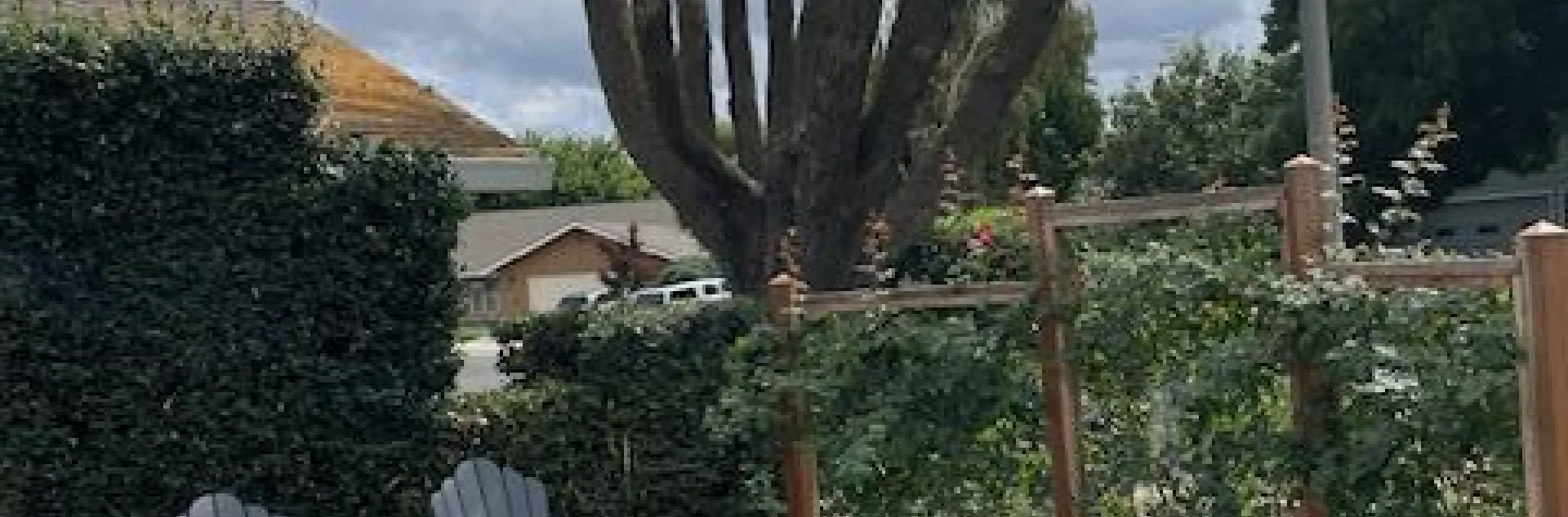 Patio sitting area that has a view of a tree that has been poorly pruned.