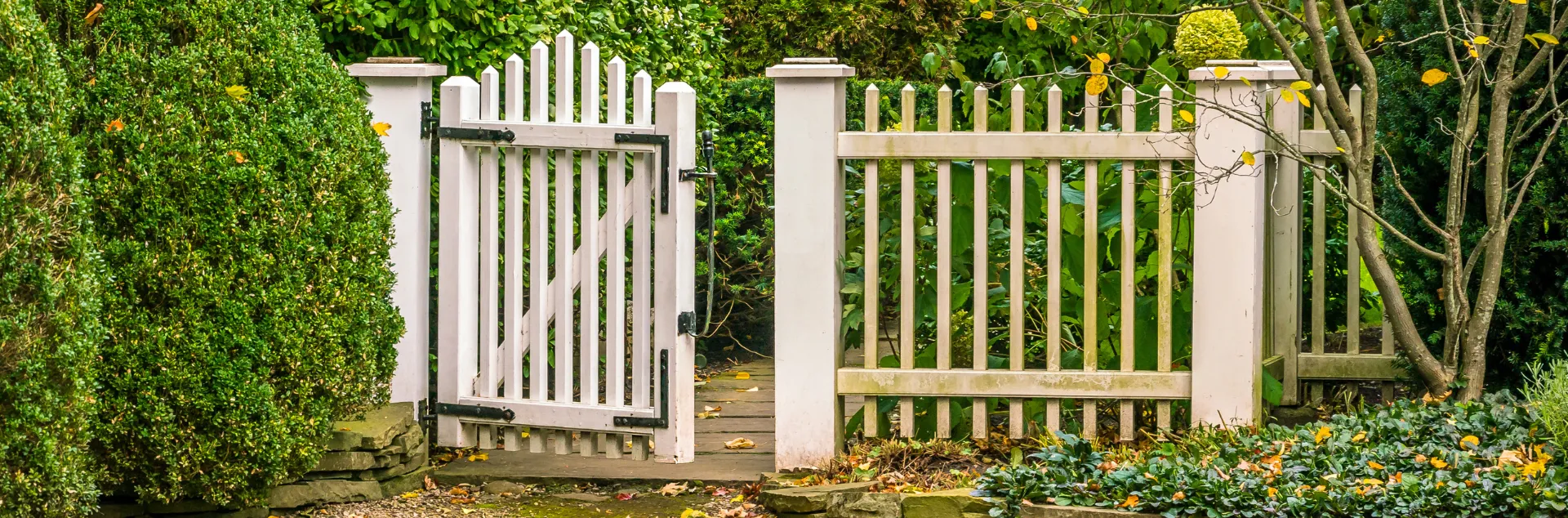 White garden gate surrounds by hedges