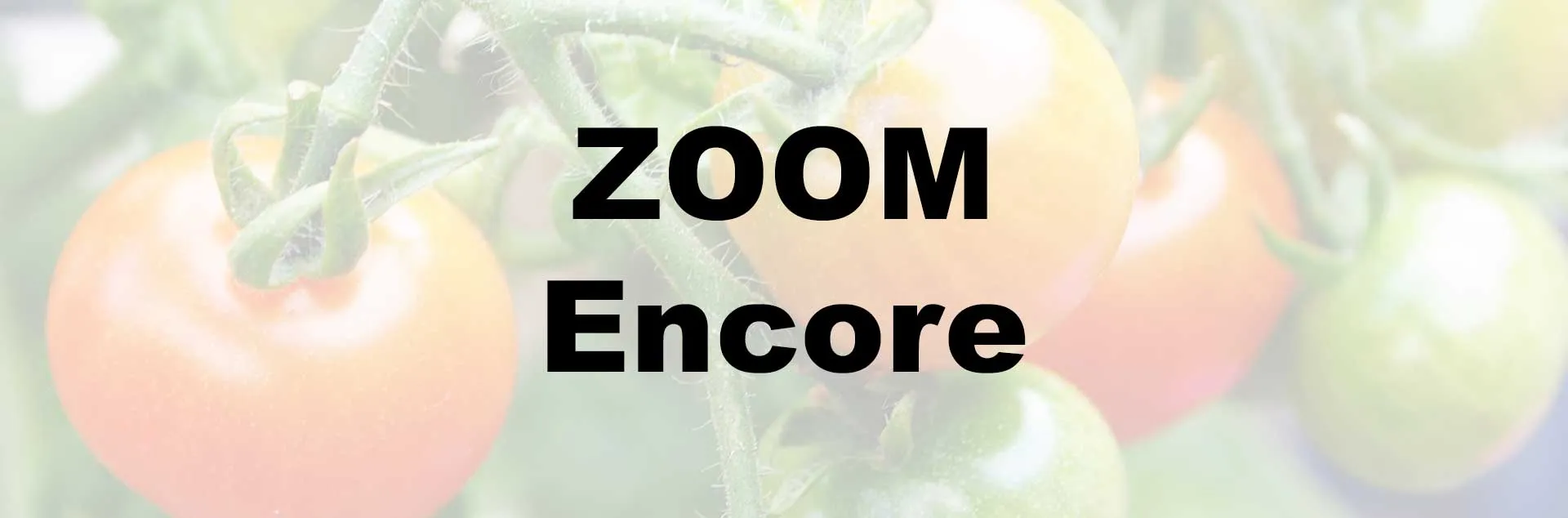 Terrific Tomatoes - ZOOM 