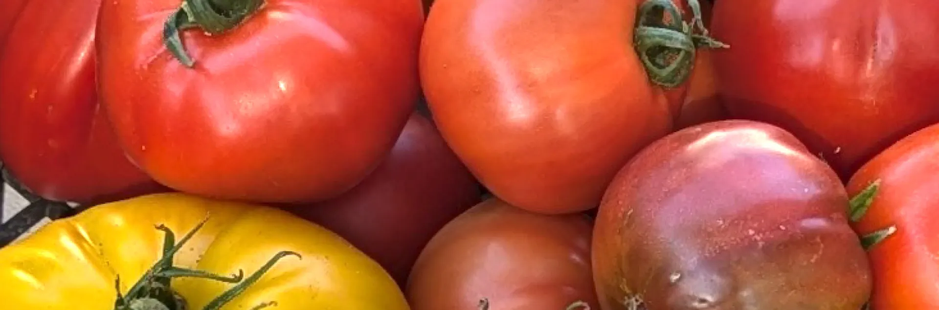 Assortment of tomatoes