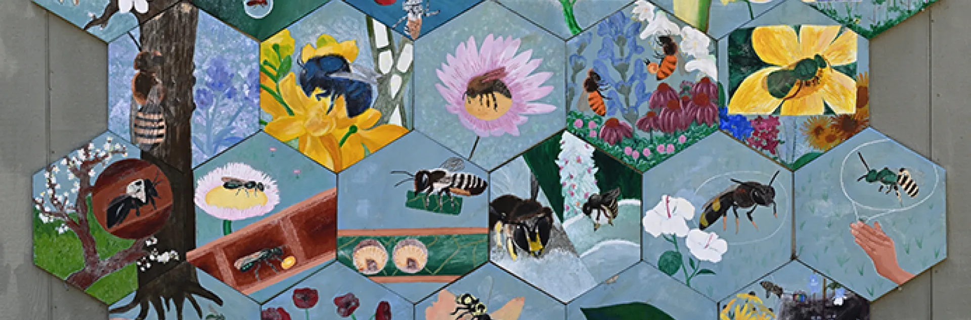 Native bee art displayed on the garden shed, UC Davis Bee Haven. (Photo by Kathy Keatley Garvey)