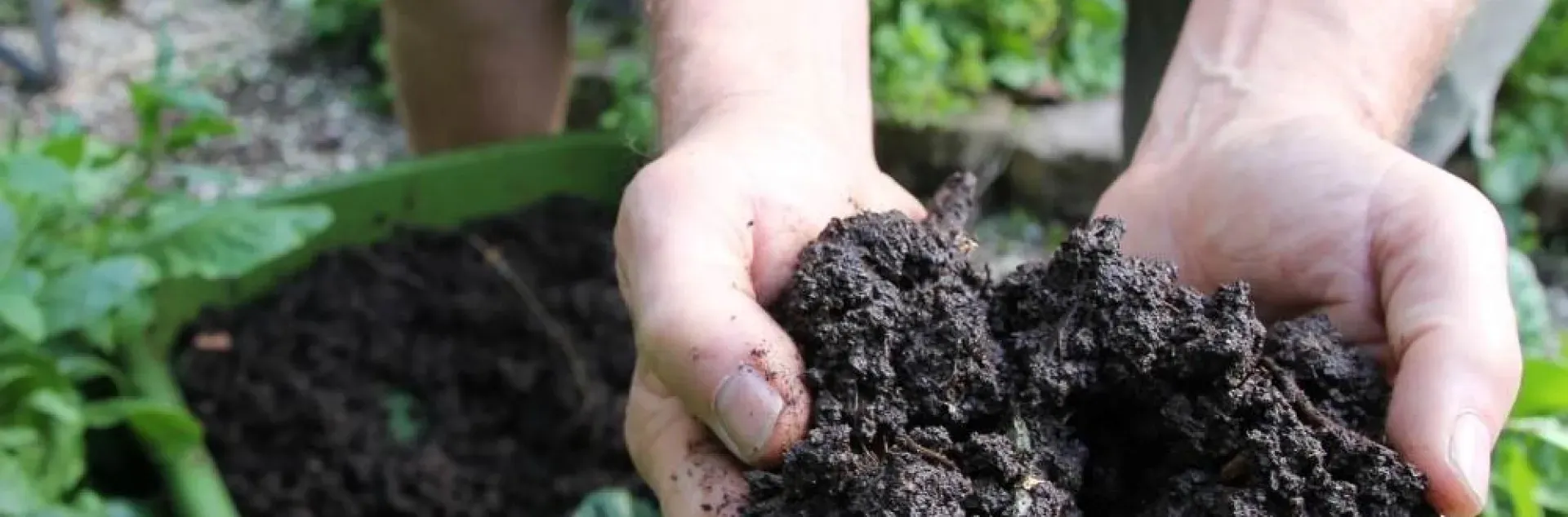 Person holding compost in their hands
