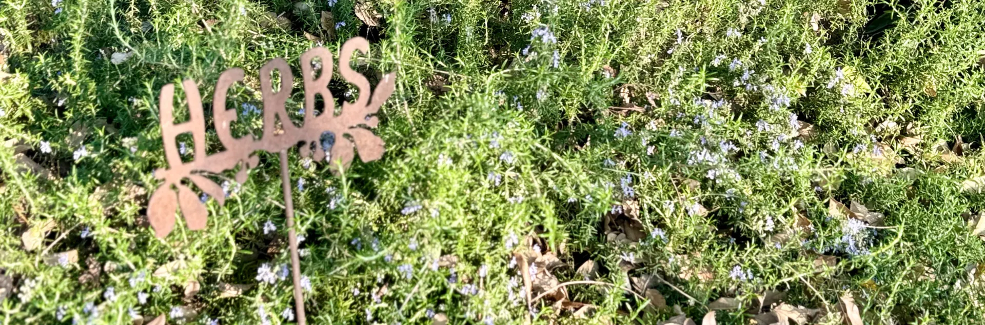 Herbs sign amid purple blooming rosemary