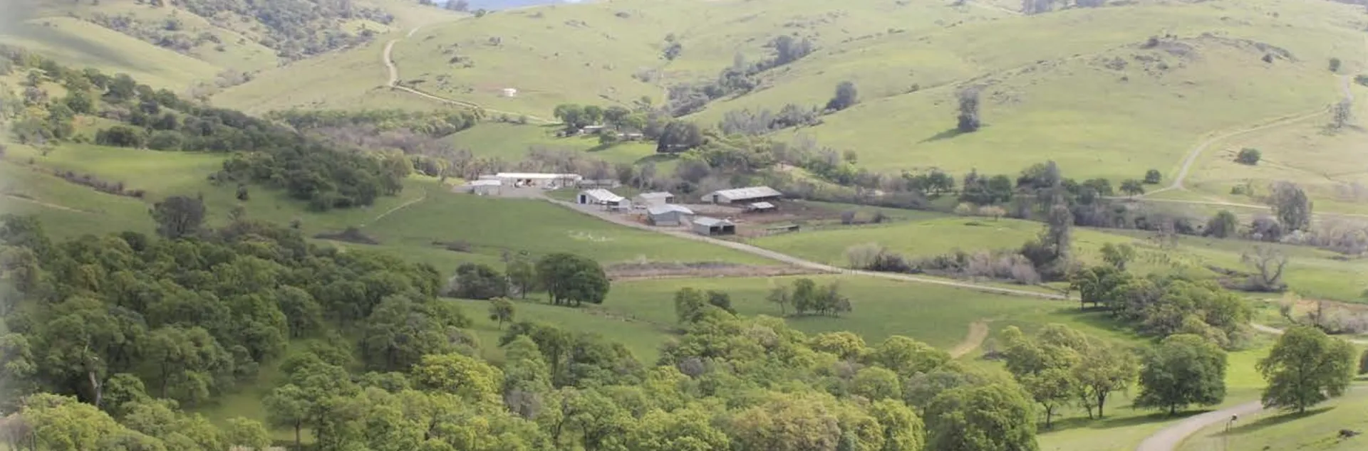 Aerial view of Sierra Foothill REC property -- rolling green hills studded with oak trees with a few buildings in the center