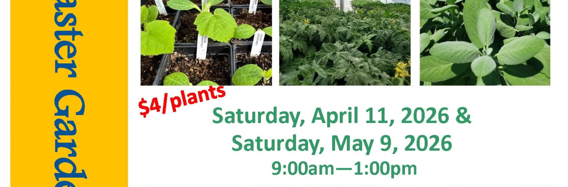 Tomato Plant Sale Flyer 2026 (jpg)