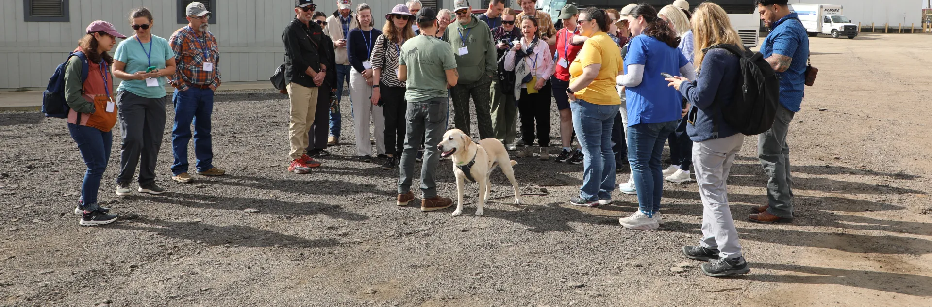 A group of people stand around a dog