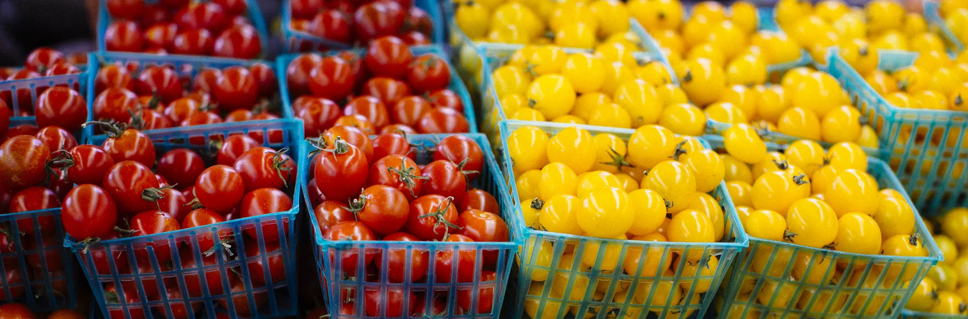 Baskets of cherry tomatoes on display in the produce section of a grocery store.