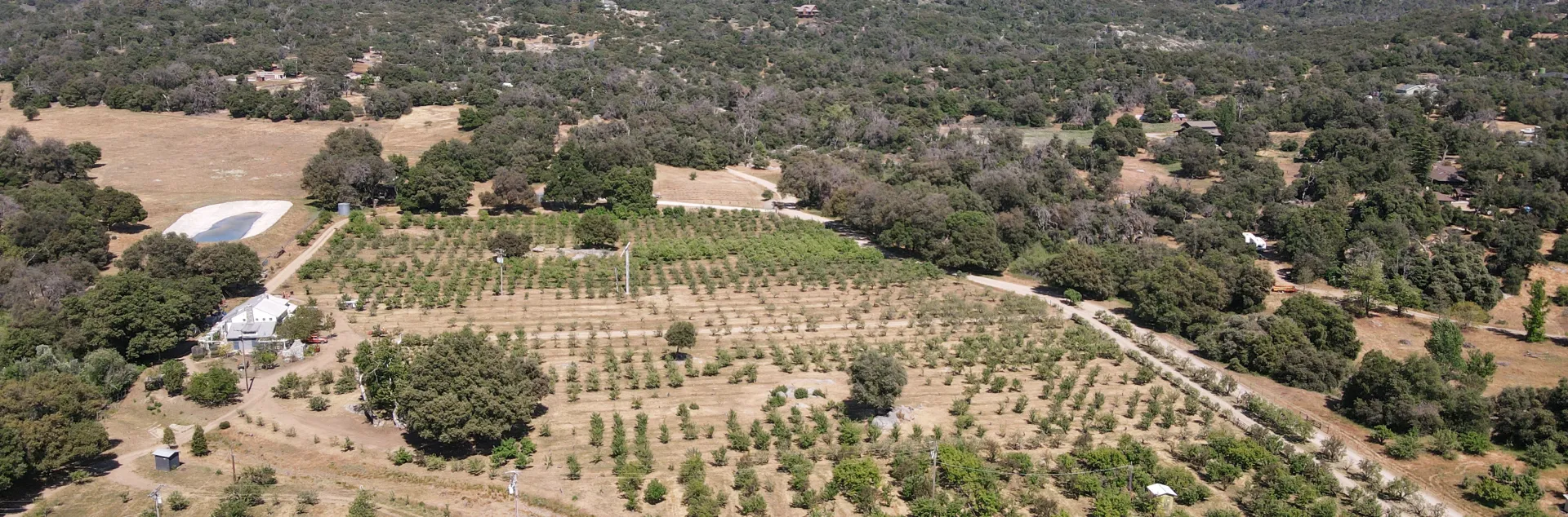 Aerial view of farm in Julian