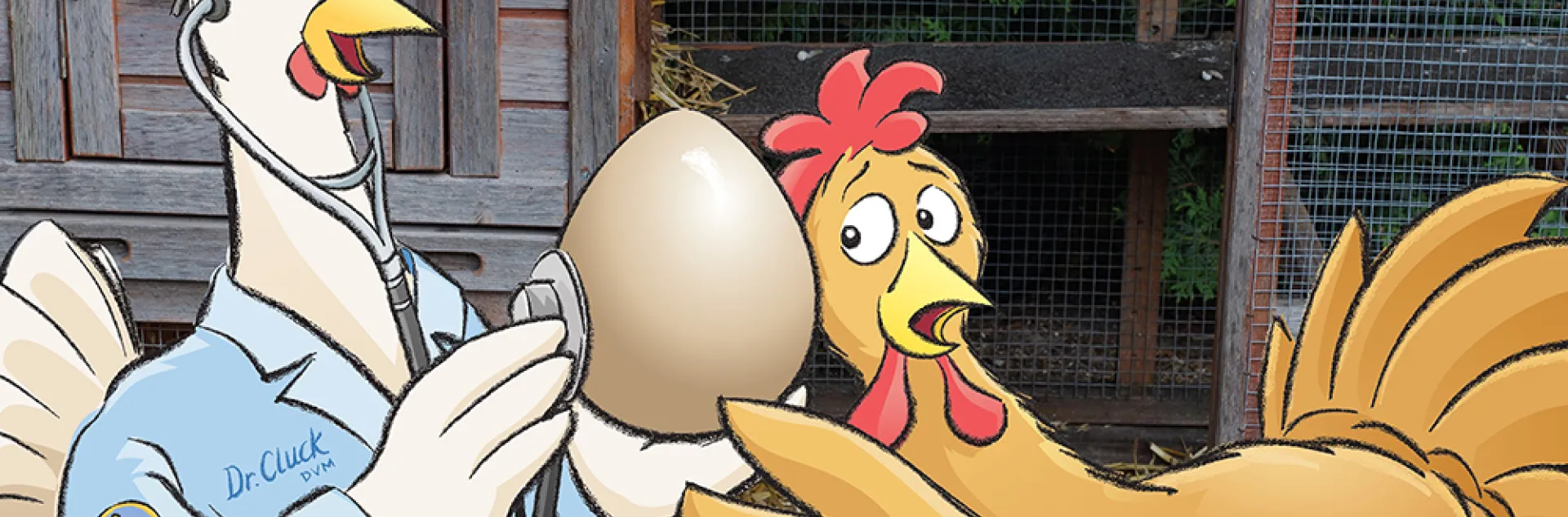 "Dr. Cluck's Backyard Chickens. Your ultimate guide to raising happy, healthy chickens. By Dr. Evan Adler and Dr. Maurice Pitesky, Illustrations by Will Suckow." Two cartoon chickens. One listens through a stethoscope held against an egg as the other presses her ear against the other side of the egg