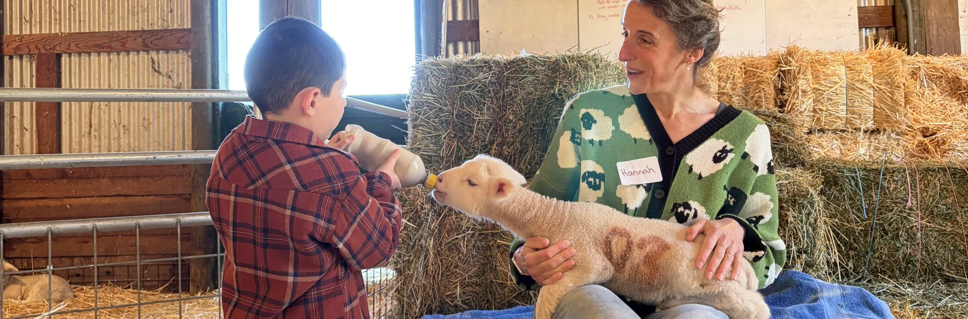 Community educator Hannah Bird holds a lamb on her lap as a schoolchild feeds it a bottle in a barn-like setting