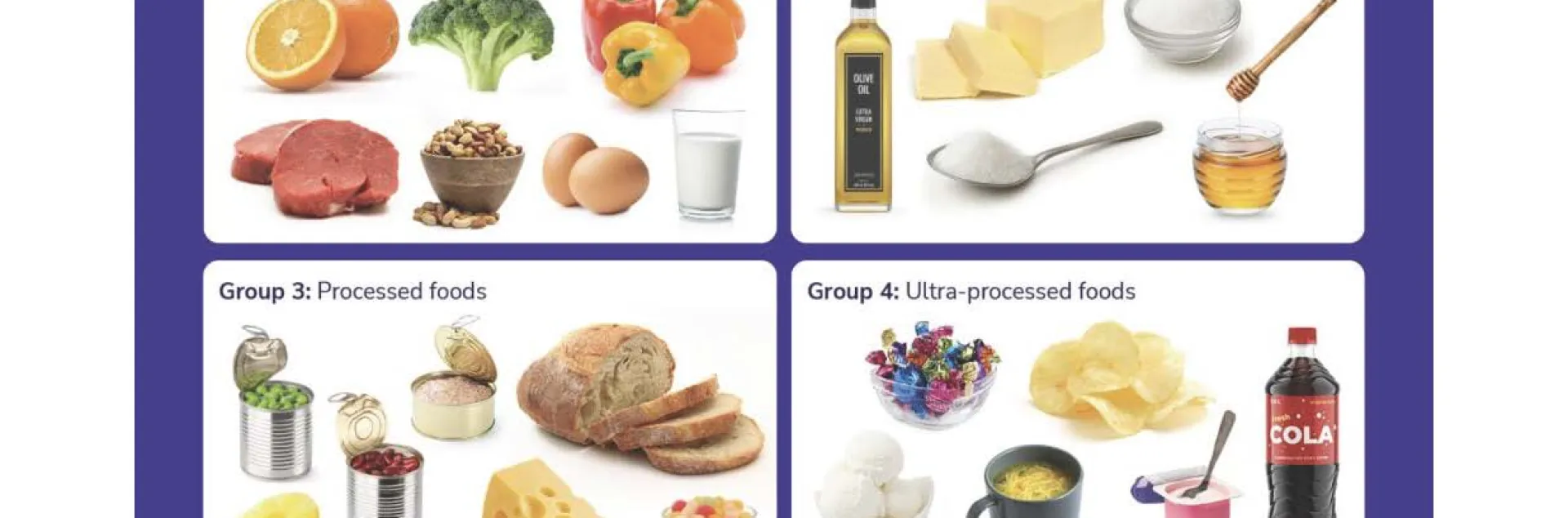 Graphic listing examples of foods falling within the 4 categories of Nova classification