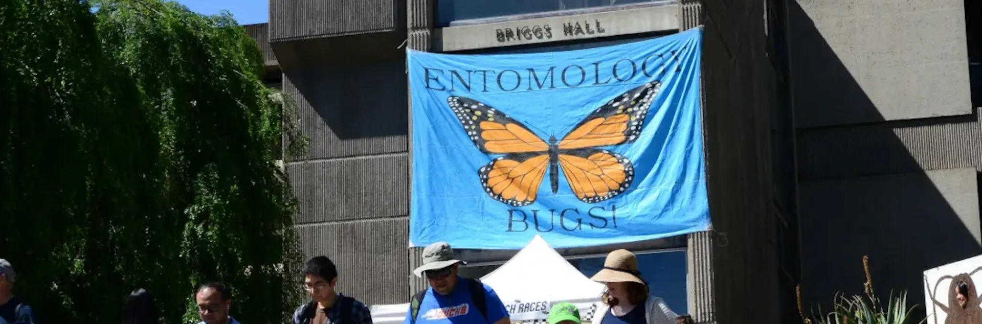 Briggs Hall, UC Davis, during Picnic Day.