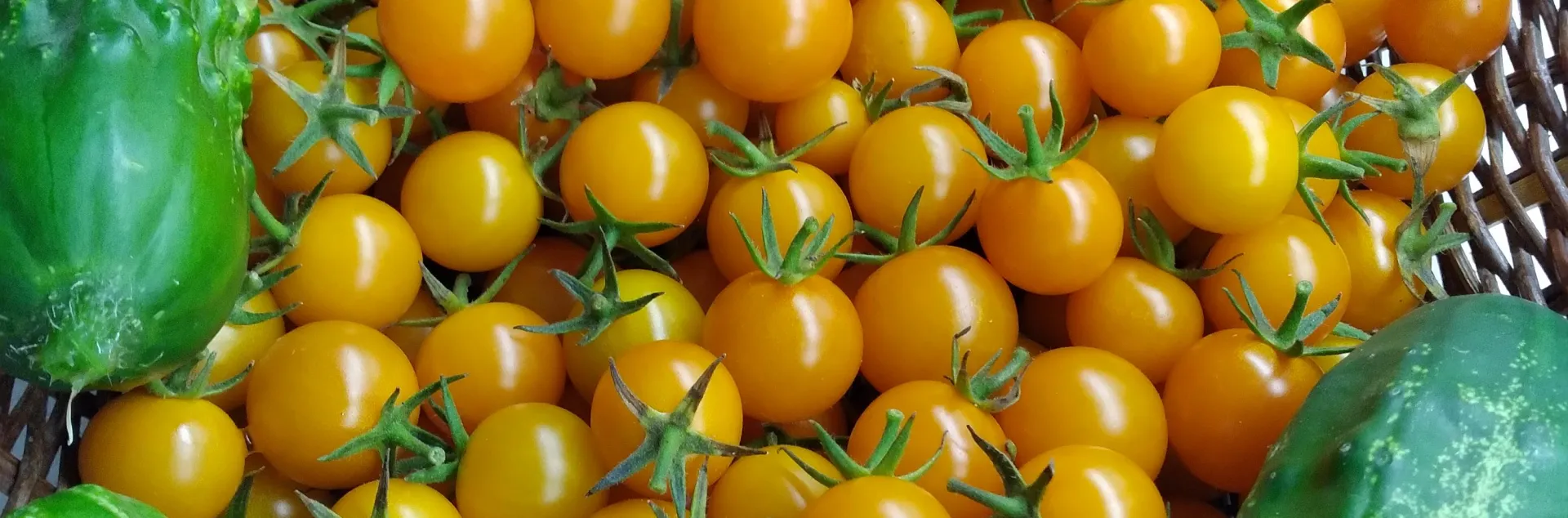 Tomatoes and cucumbers