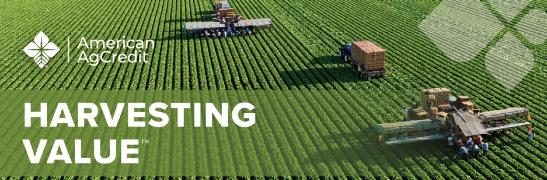 field with tractors baling hay