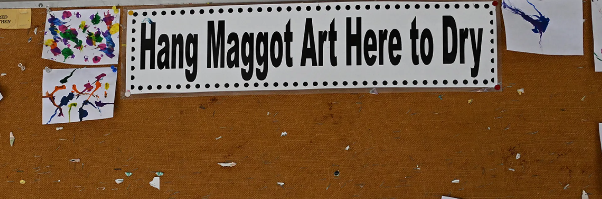 Maggot art masterpieces drying on bulletin board.