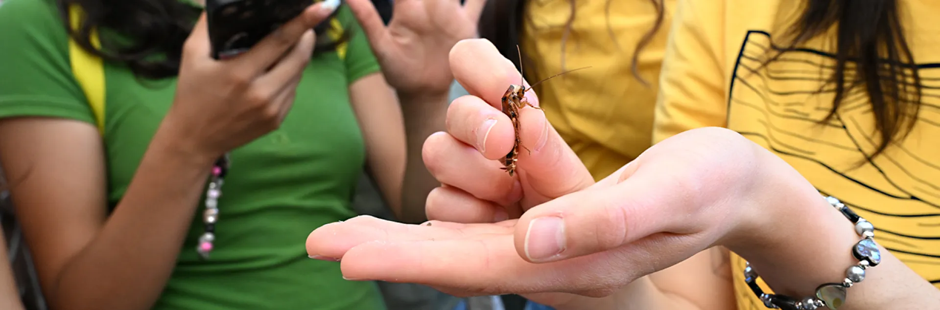 An entomologist holds a roach, ready to compete.