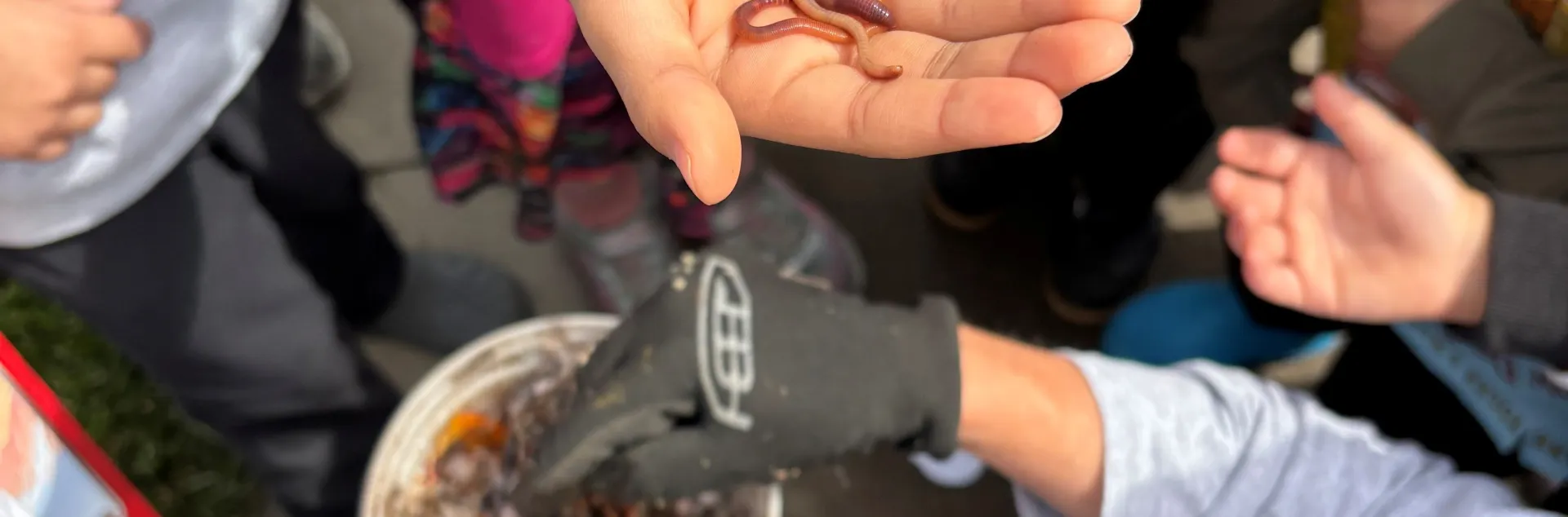 worms in an open hand