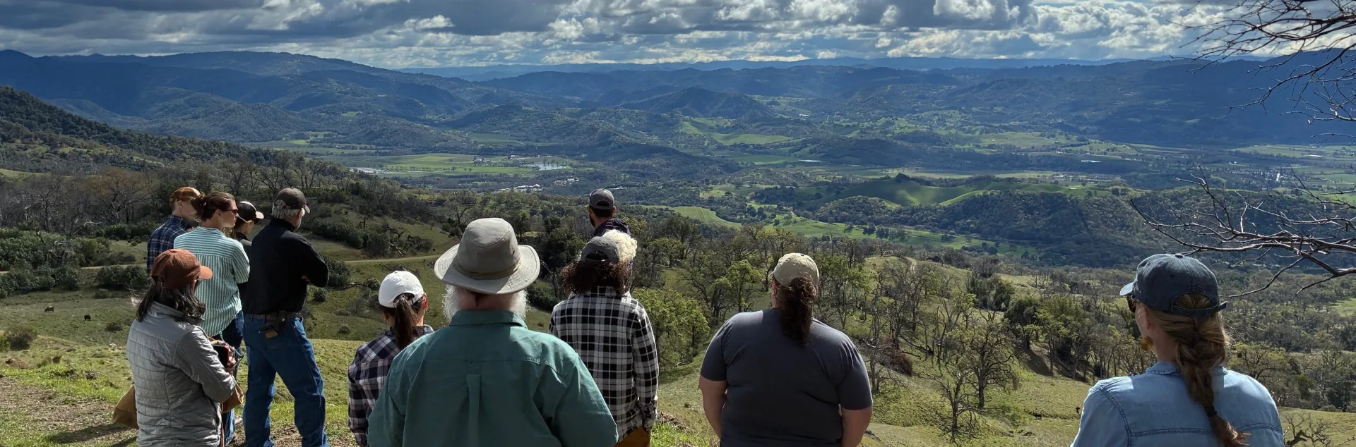 A group of people stand under fluffy white clouds and a blue sky looking over a verdant landscape