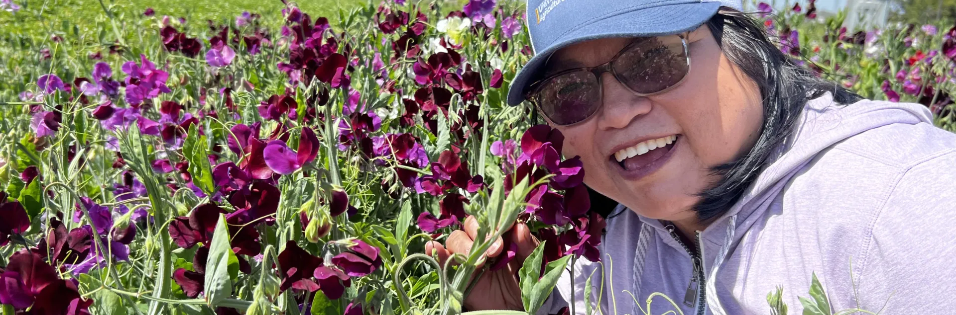 A smiling Fam Lee leans into flowers amid a field