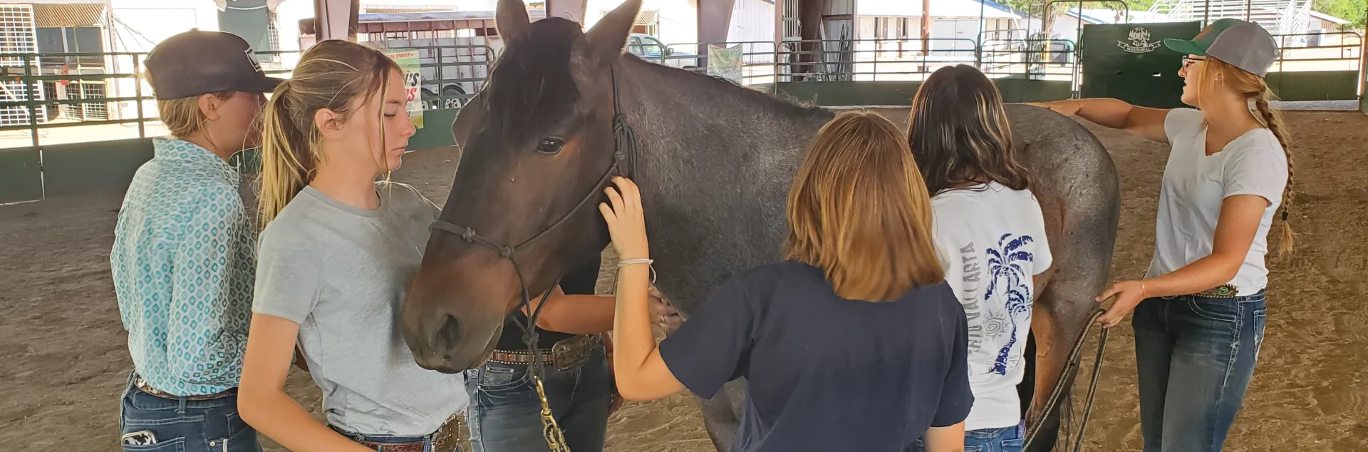 Four young people pet the front of a brown horse while looking at the instructor do something with the horse's tail or behind