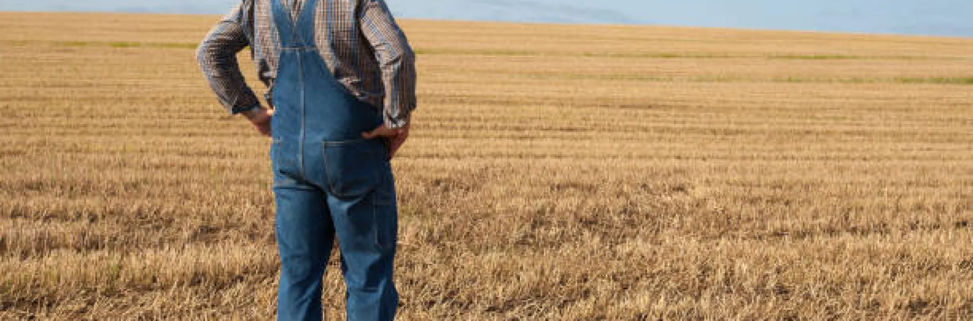 back view of a farmer standing in a field
