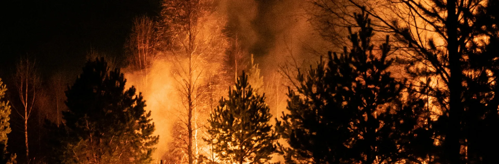 Wildfire
