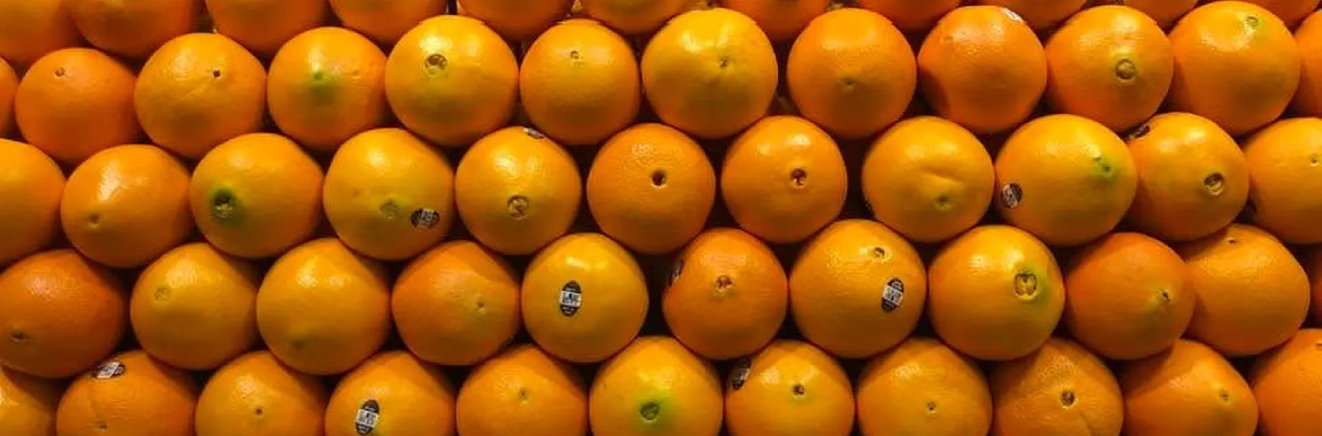 Oranges in a grocery store. (Photo by Kathy Keatley Garvey)